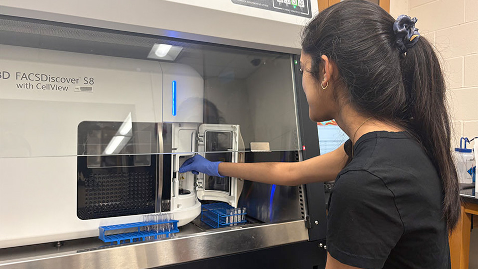 A researcher loading samples into a flow cytometer inside a biosafety cabinet.
