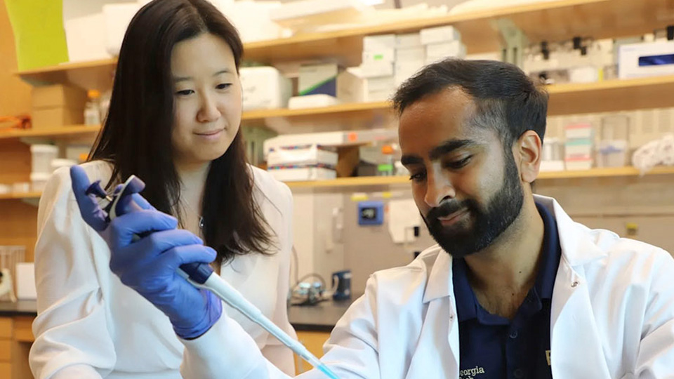 Researchers wearing lab coats and gloves using a pipette to transfer liquid samples during an immunology experiment.